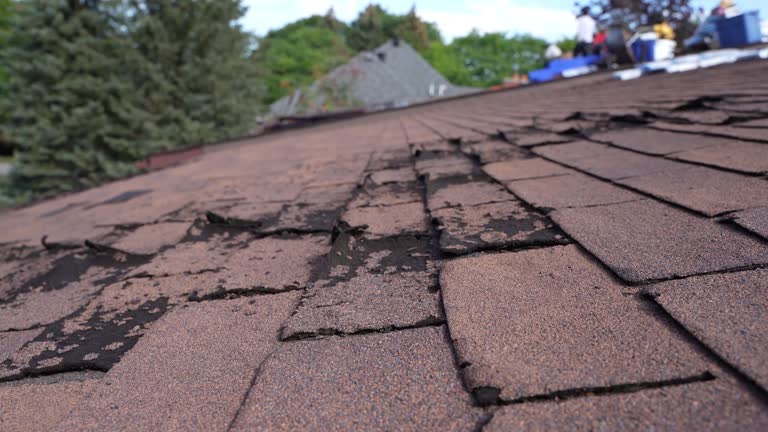 Best Roof Coating and Sealing  in Tustin, CA